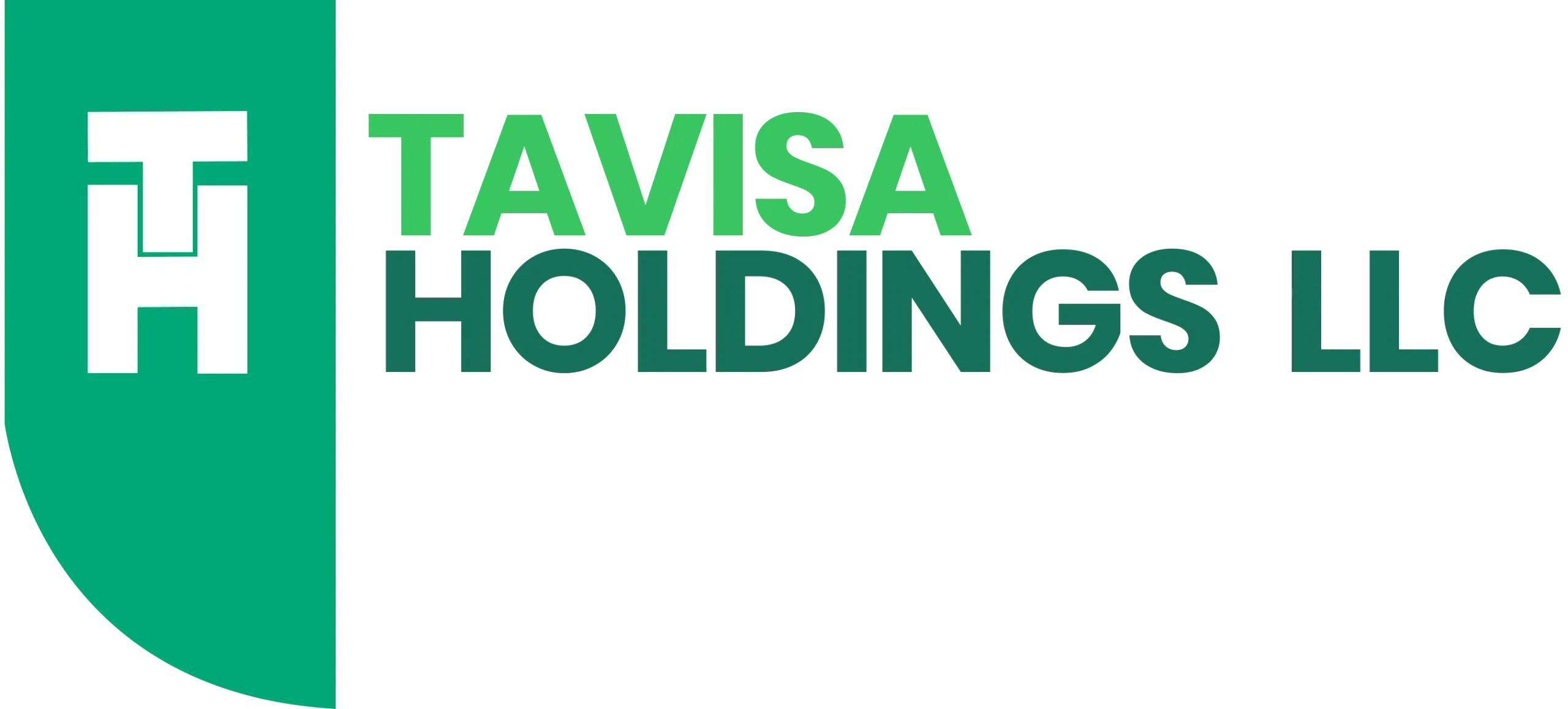 TAVISA HOLDINGS  LLC